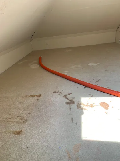 Carpet before professional cleaning
