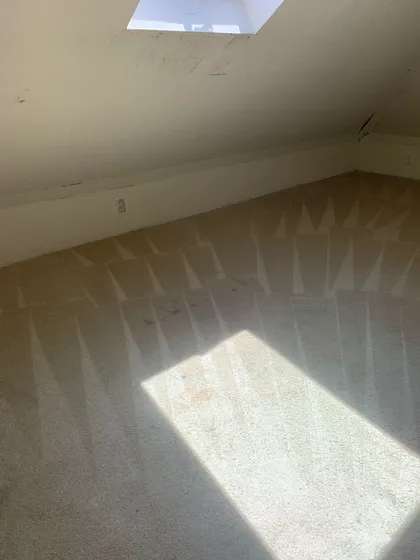 Carpet after professional cleaning