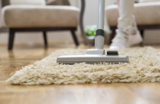 Professional carpet cleaning service