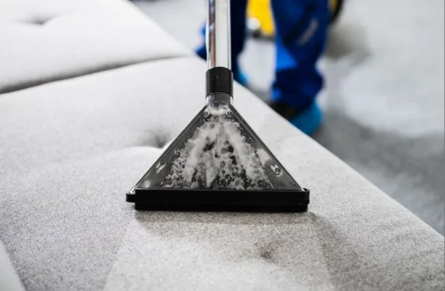 Professional upholstery cleaning service